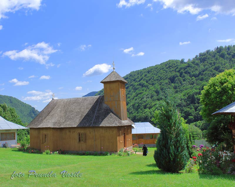 Biserica de lemn, Manastirea Lepsa